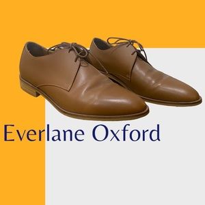 Everlane classic oxfords
